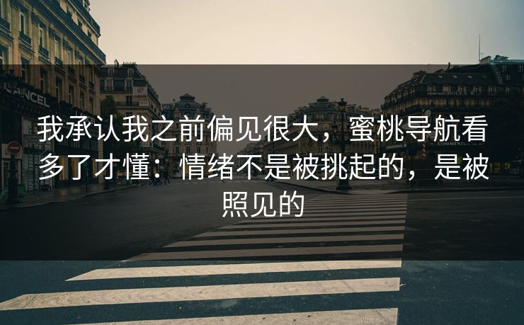 我承认我之前偏见很大,蜜桃导航看多了才懂:情绪不是被挑起的,是被照见的 我承认我之前偏见很大,蜜桃导航看多了才懂:情绪不是被挑起的,是被照见的